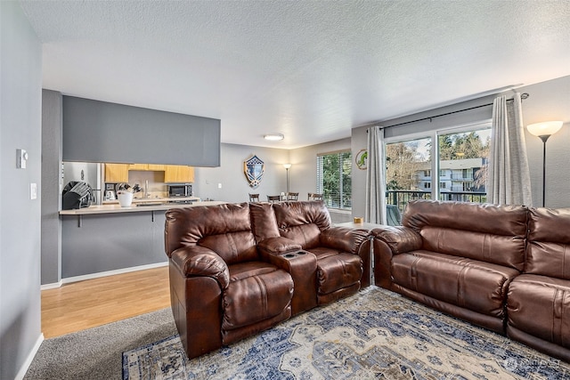 living room featuring light carpet and a textured ceiling