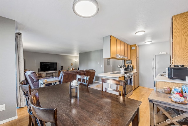 dining area with light hardwood / wood-style floors