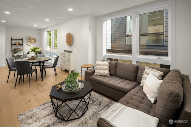 living room with light hardwood / wood-style flooring