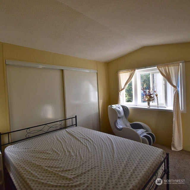 bedroom featuring lofted ceiling, carpet floors, and a closet