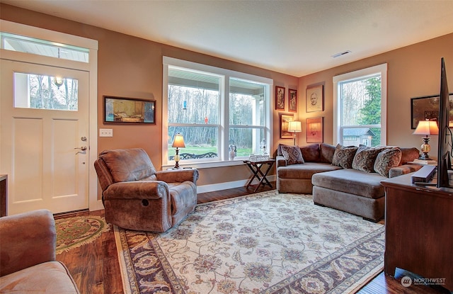 living room with wood-type flooring