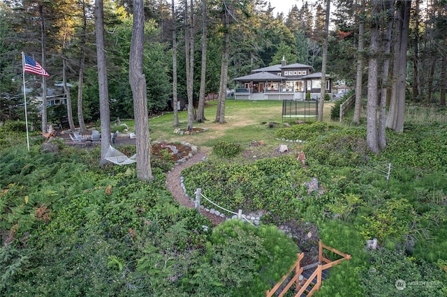 view of yard with a forest view