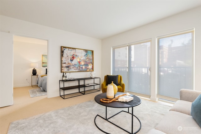 living area with light colored carpet