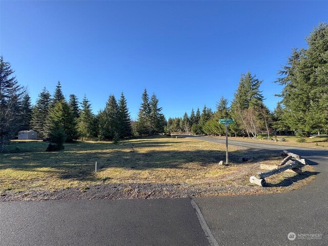 42 S Windflower Ln, Port Angeles, WA 98362 - photo 2