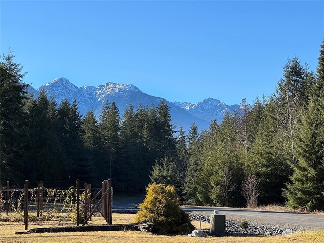 42 S Windflower Ln, Port Angeles, WA 98362 - photo 3