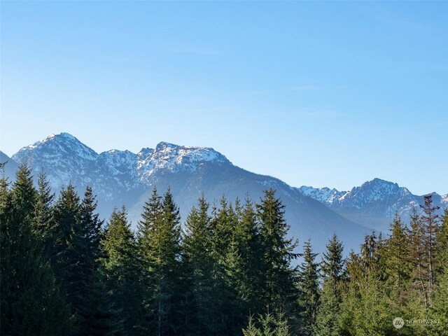 42 S Windflower Ln, Port Angeles, WA 98362 - photo 4