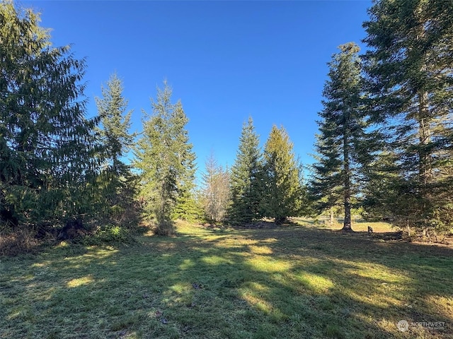 42 S Windflower Ln, Port Angeles, WA 98362 - photo 9