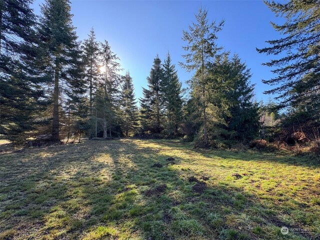 42 S Windflower Ln, Port Angeles, WA 98362 - photo 10