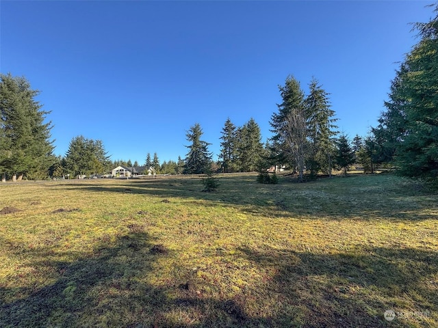 42 S Windflower Ln, Port Angeles, WA 98362 - photo 11