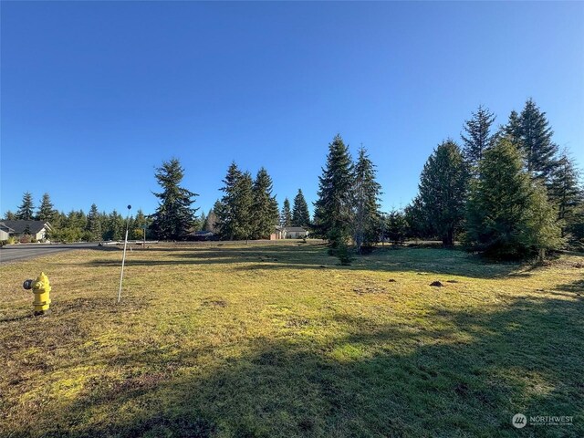 42 S Windflower Ln, Port Angeles, WA 98362 - photo 12