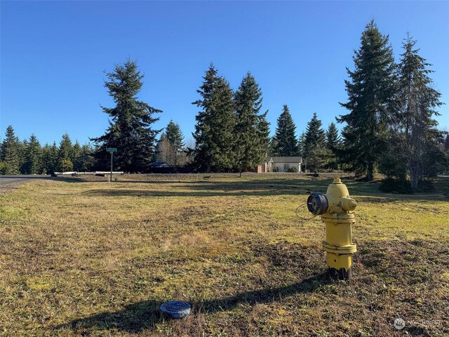 42 S Windflower Ln, Port Angeles, WA 98362 - photo 17
