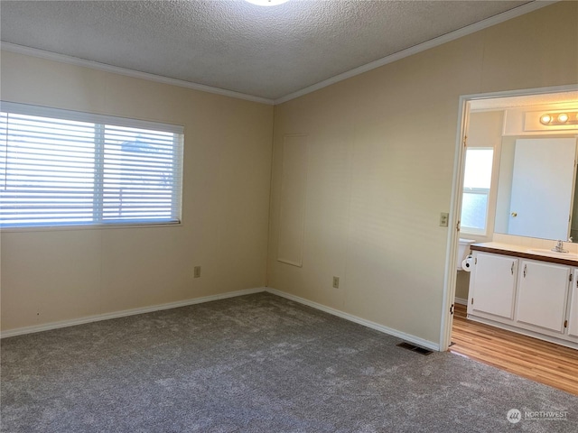 empty room featuring ornamental molding, sink, light colored carpet, and a textured ceiling