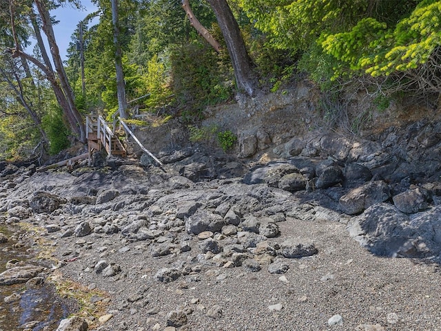 view of local wilderness