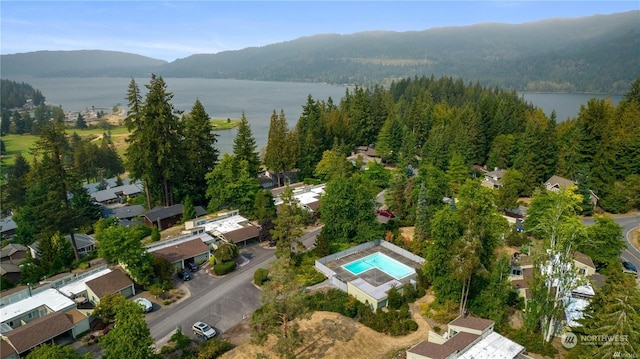 drone / aerial view featuring a water and mountain view