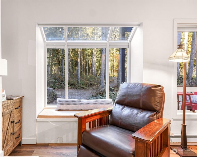 sitting room with wood-type flooring