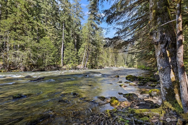 view of local wilderness