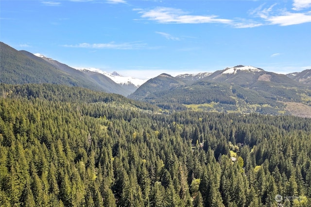 property view of mountains