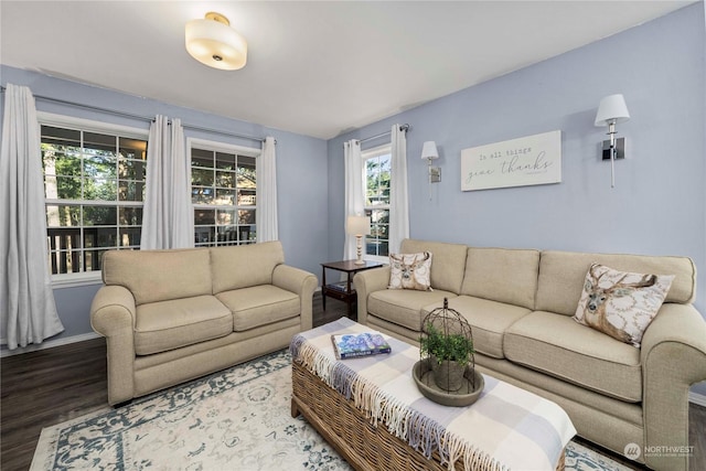 living room featuring wood-type flooring