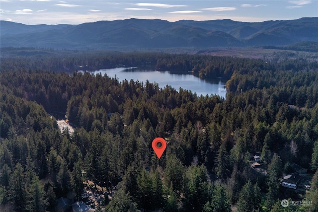 drone / aerial view featuring a water and mountain view