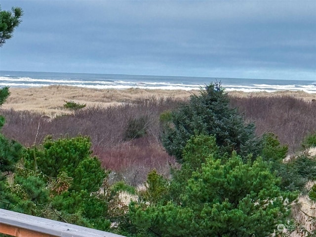 property view of water featuring a view of the beach