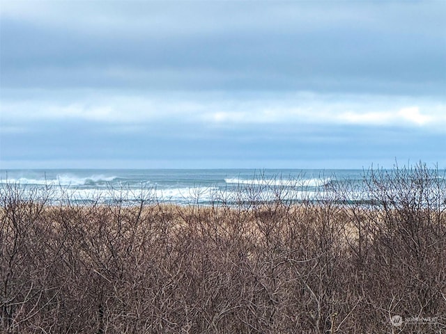 water view featuring a view of the beach