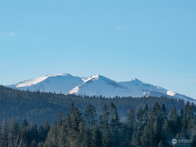 view of mountain feature