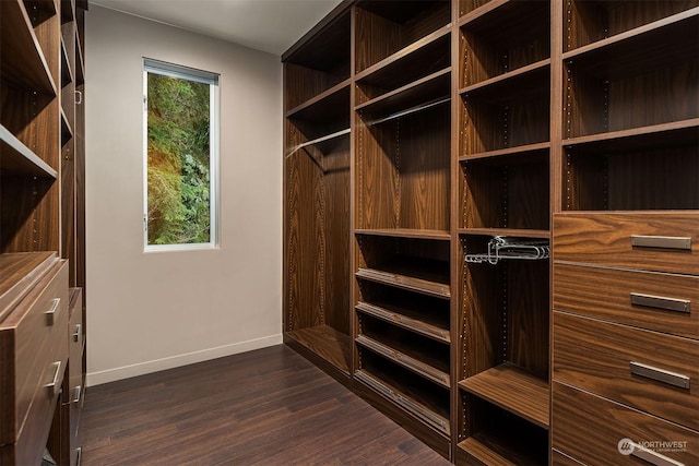 walk in closet featuring dark wood finished floors