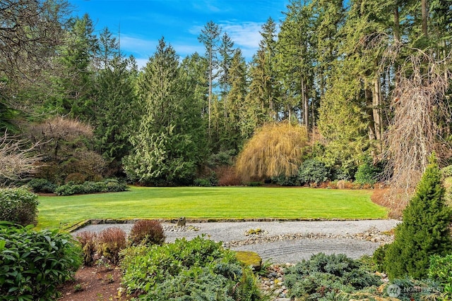 view of community featuring a lawn