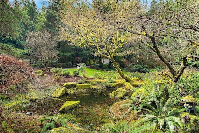 view of landscape featuring a view of trees