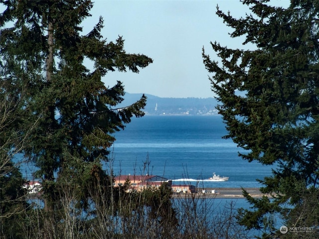 view of water feature