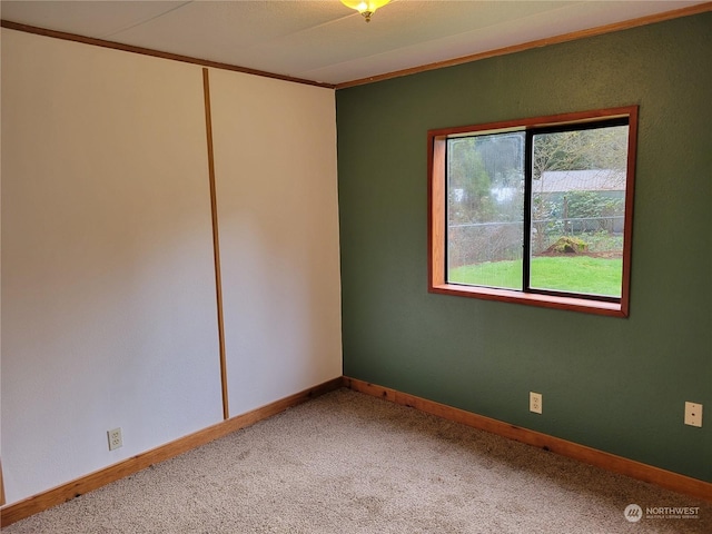 empty room featuring carpet floors and ornamental molding