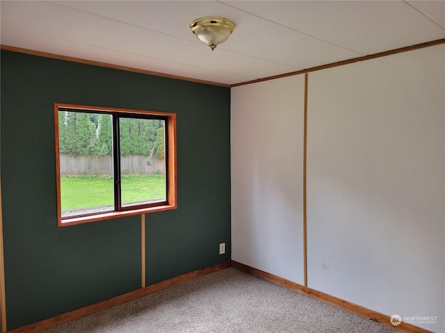 empty room featuring crown molding and carpet floors