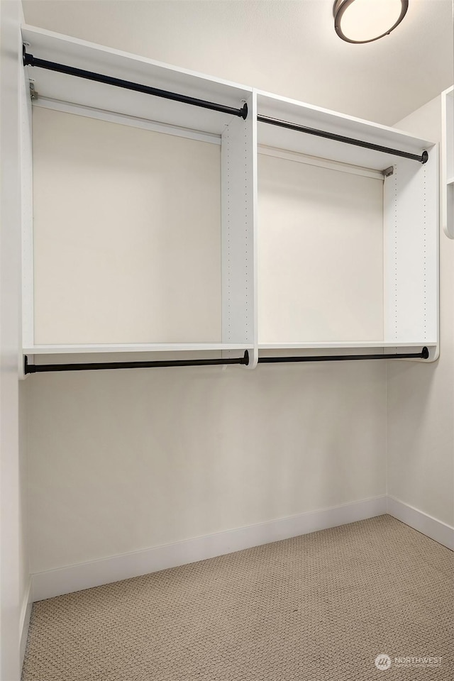 8823 Ashworth Ave N Unit B, Seattle, WA 98103 - photo 14