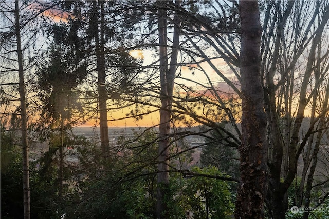 view of nature at dusk