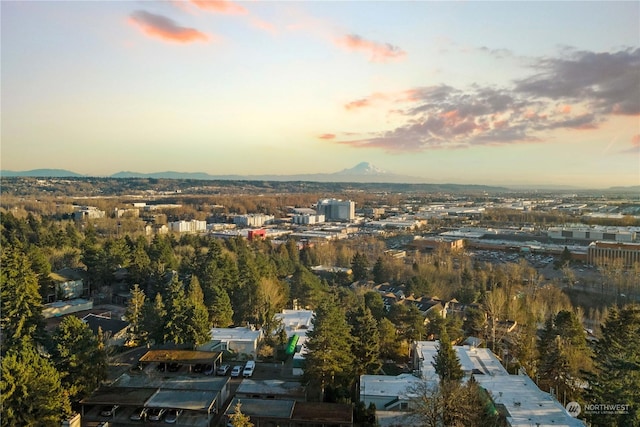 aerial view at dusk with a mountain view