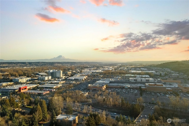 property's view of city with a mountain view