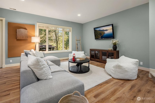 living room featuring wood-type flooring