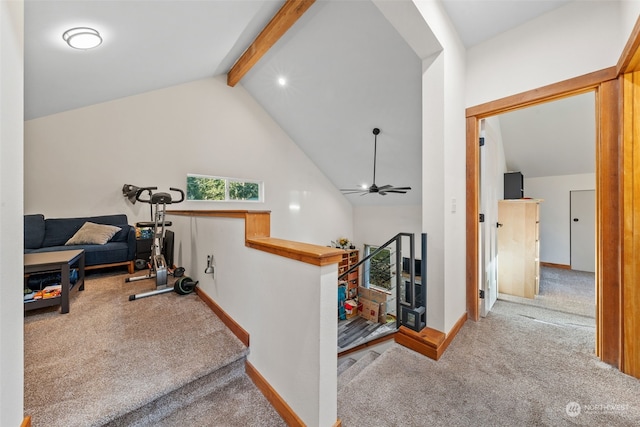 exercise area with ceiling fan, high vaulted ceiling, and light carpet