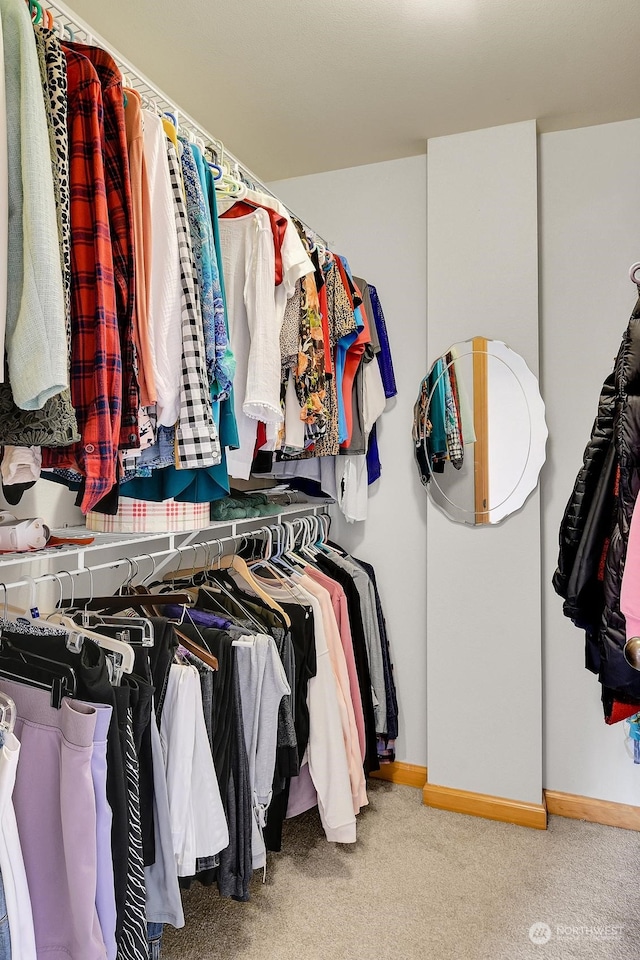 spacious closet featuring carpet flooring