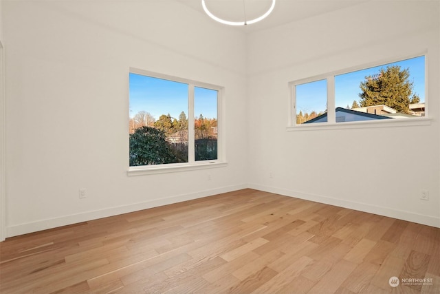 empty room featuring light hardwood / wood-style floors and a wealth of natural light