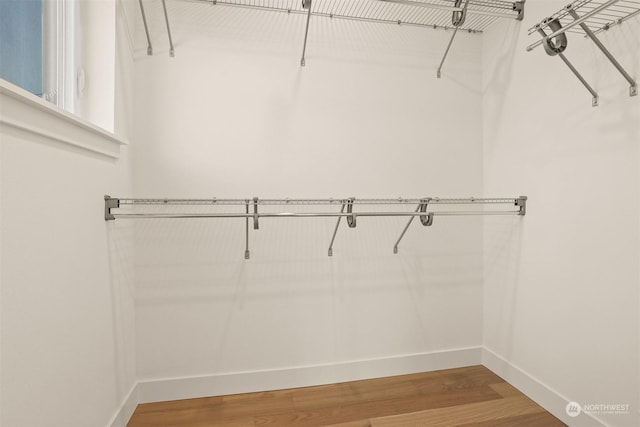 spacious closet with hardwood / wood-style floors