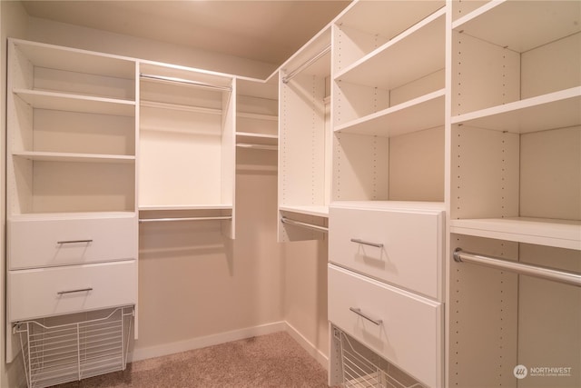 spacious closet featuring carpet