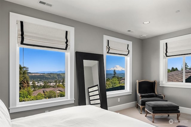 carpeted bedroom featuring a mountain view