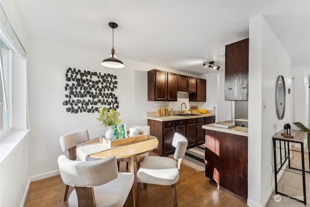 dining area featuring sink and light hardwood / wood-style flooring