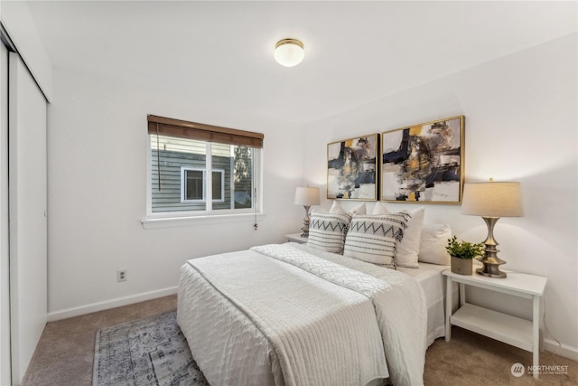 bedroom with carpet flooring and a closet