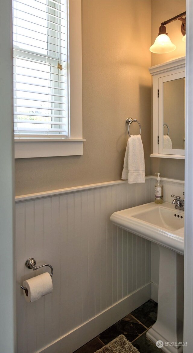 bathroom with wainscoting and a sink