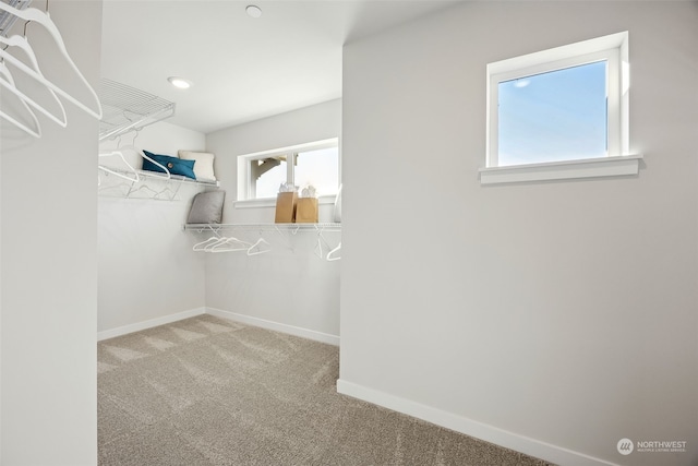 walk in closet with light colored carpet