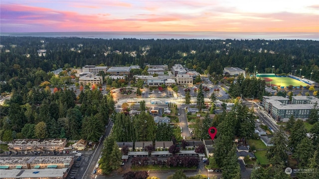 view of aerial view at dusk