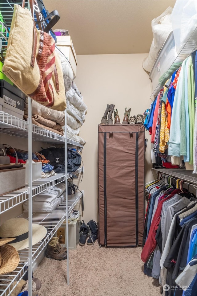 walk in closet with carpet