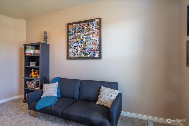 sitting room with carpet flooring